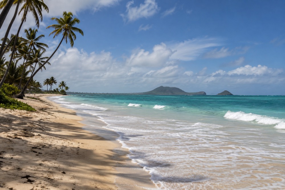 Turquoise water and palm trees along Kailua Beach Park on Oahu's windward coast