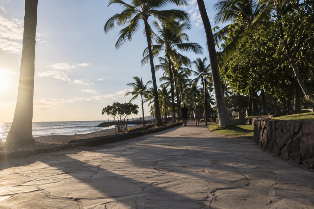 A wide paved beachfront walkway in Waikiki lined with palm trees, with the ocean on one side and open space for wheelchairs on the other