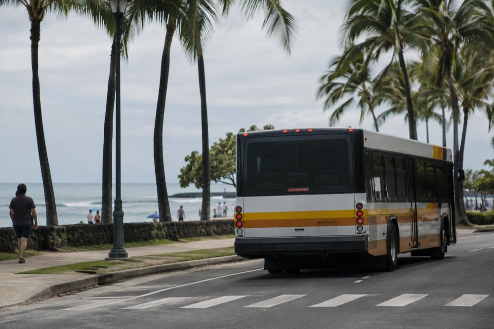 A Honolulu city bus pulling away from a curb near palm trees and a crosswalk