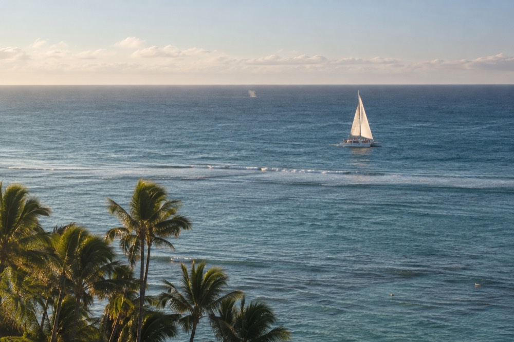 A catamaran under sail off Waikiki with a whale spout visible on the horizon