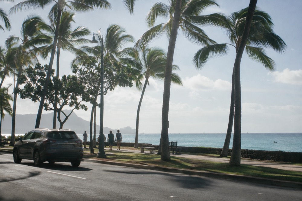A coastal road on Oahu with palm trees and blue ocean beyond