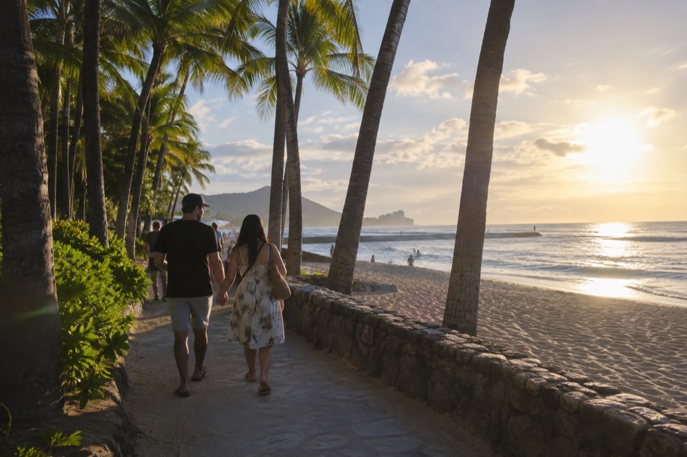 Two people walking hand in hand along a tropical beach path lined with palm trees