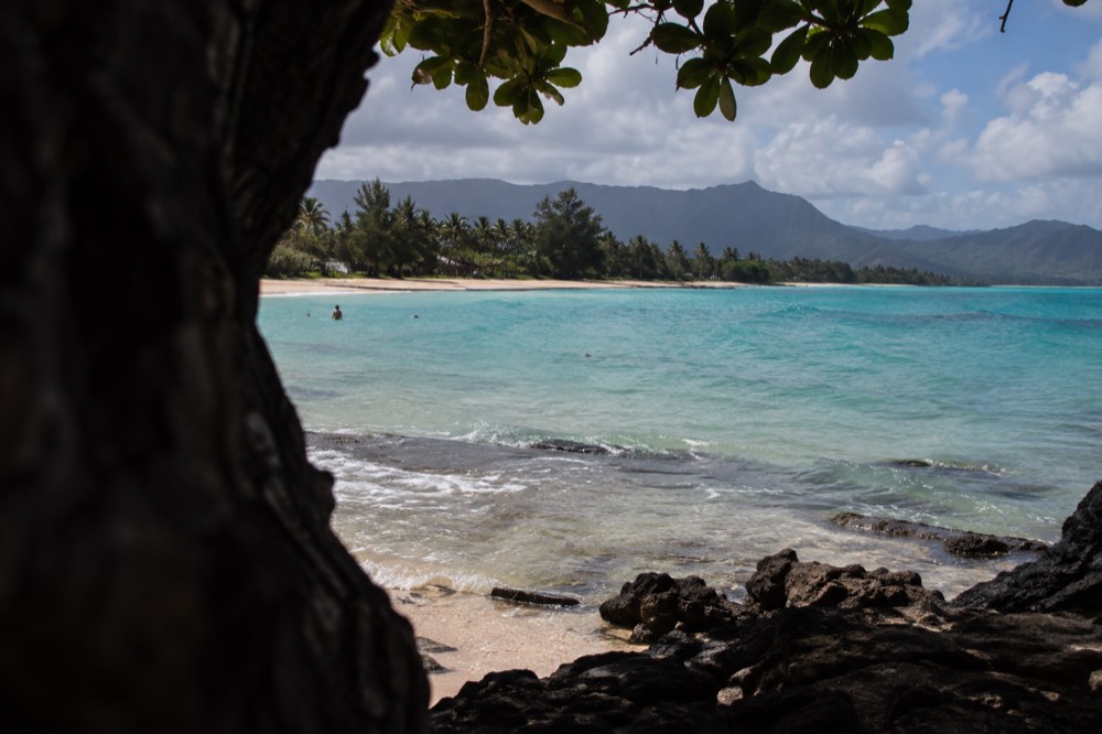 Turquoise water and a palm-lined sand beach on Oahu's windward coast