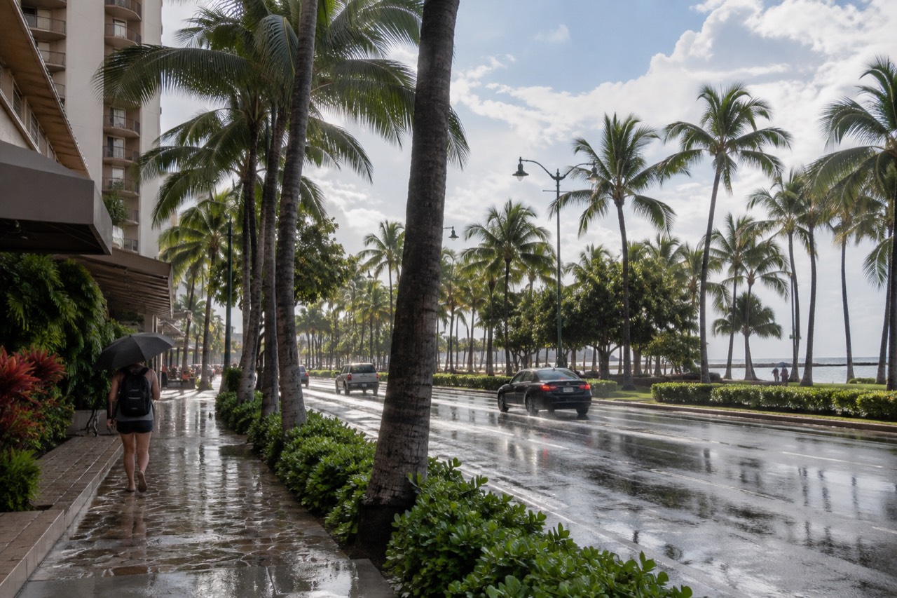 Rain falling on palm trees along a Honolulu street with wet pavement reflecting the sky